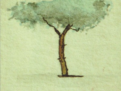 Our Parenthetical Ontology